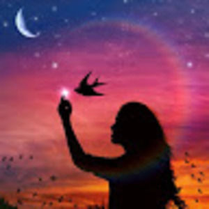 Meet your Posher, Maya